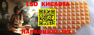гидра Гусев