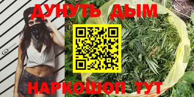 соль ск Дубна