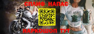 гидра Гусев