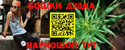 соль ск Дубна
