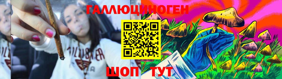 Псилоцибиновые грибы MAGIC MUSHROOMS  Вход с VPN  где купить наркотик  Лесосибирск  Псилоцибиновые грибы ЛСД 
